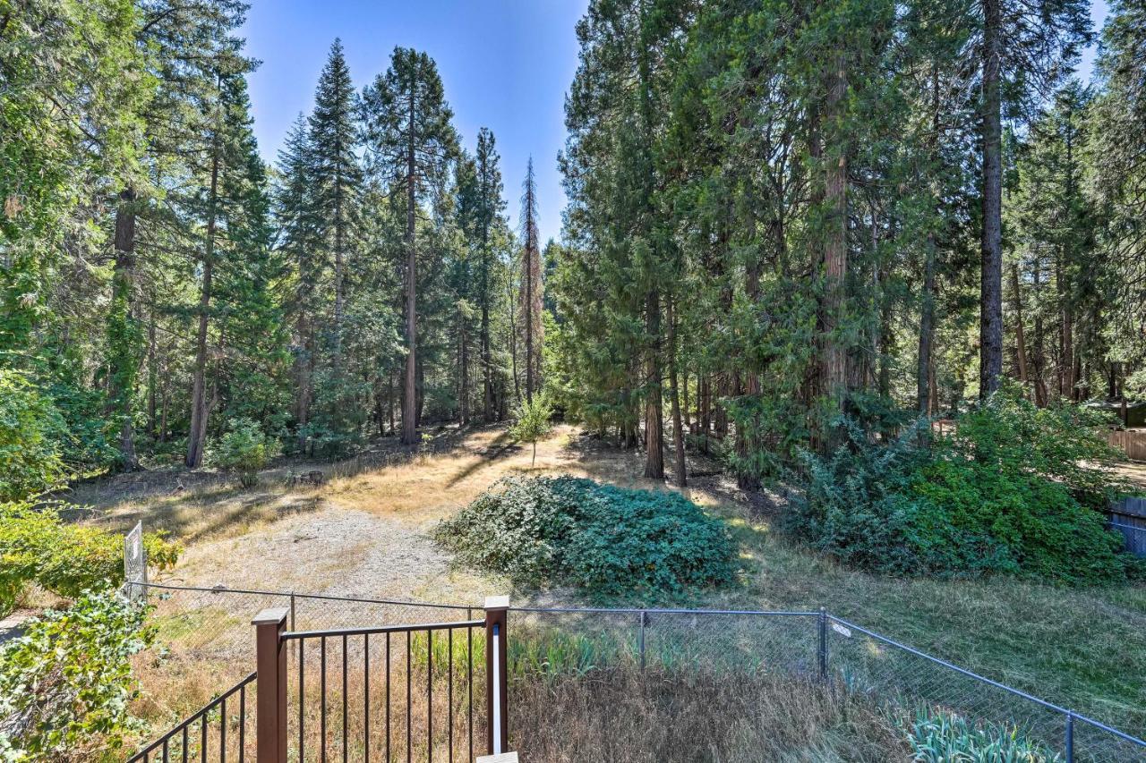 Nevada City Retreat Near Hiking And Yuba River! Exterior foto